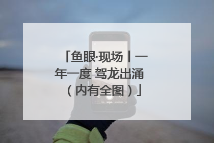 鱼眼·现场丨一年一度 驾龙出涌（内有全图）