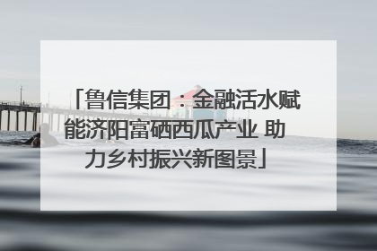 鲁信集团：金融活水赋能济阳富硒西瓜产业 助力乡村振兴新图景