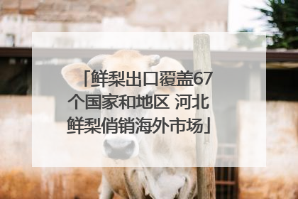 鲜梨出口覆盖67个国家和地区 河北鲜梨俏销海外市场