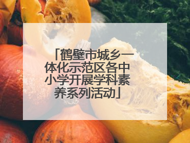 鹤壁市城乡一体化示范区各中小学开展学科素养系列活动