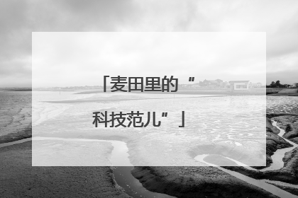 麦田里的“科技范儿”
