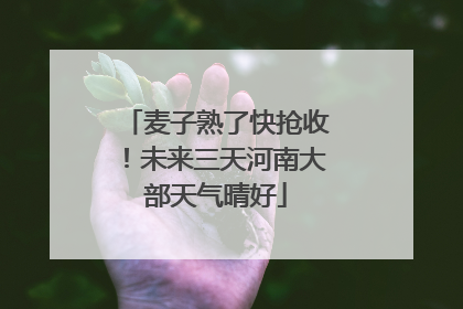麦子熟了快抢收！未来三天河南大部天气晴好