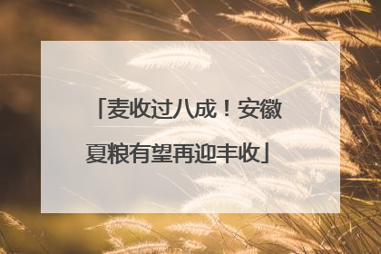 麦收过八成！安徽夏粮有望再迎丰收