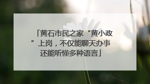 黄石市民之家“黄小政”上岗，不仅能聊天办事还能听懂多种语言