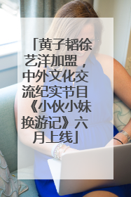 黄子韬徐艺洋加盟，中外文化交流纪实节目《小伙小妹换游记》六月上线