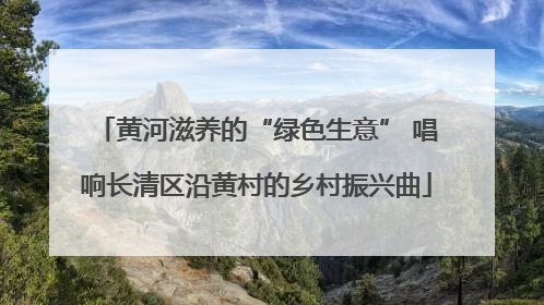 黄河滋养的“绿色生意” 唱响长清区沿黄村的乡村振兴曲