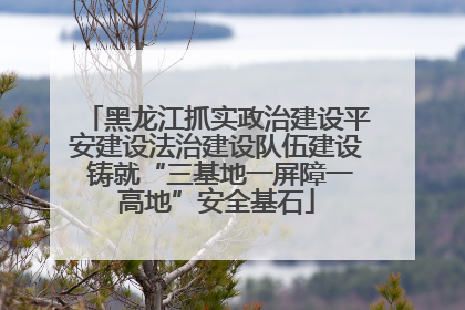 黑龙江抓实政治建设平安建设法治建设队伍建设 铸就“三基地一屏障一高地”安全基石