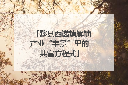 黟县西递镇解锁产业“丰景”里的共富方程式