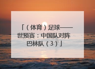 （体育）足球——世预赛：中国队对阵巴林队（3）