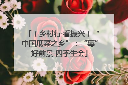 （乡村行·看振兴）“中国瓜菜之乡”：“莓”好前景 四季生金