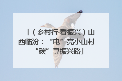 （乡村行·看振兴）山西临汾：“电”亮小山村 “碳”寻振兴路
