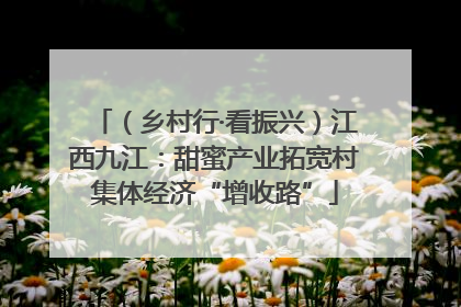 （乡村行·看振兴）江西九江：甜蜜产业拓宽村集体经济“增收路”