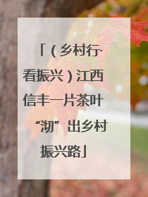 （乡村行·看振兴）江西信丰一片茶叶“沏”出乡村振兴路