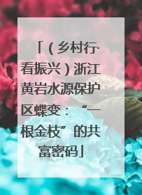 （乡村行·看振兴）浙江黄岩水源保护区蝶变：“一根金枝”的共富密码