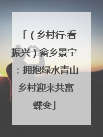 （乡村行·看振兴）畲乡景宁：拥抱绿水青山 乡村迎来共富蝶变