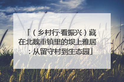 （乡村行·看振兴）藏在北魏重镇里的坝上雅居：从留守村到生态园