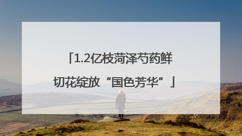 1.2亿枝菏泽芍药鲜切花绽放“国色芳华”