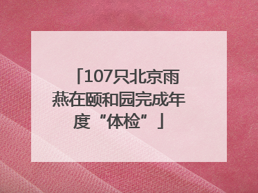 107只北京雨燕在颐和园完成年度“体检”
