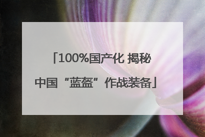 100%国产化 揭秘中国“蓝盔”作战装备
