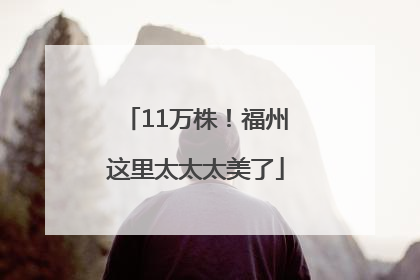 11万株！福州这里太太太美了