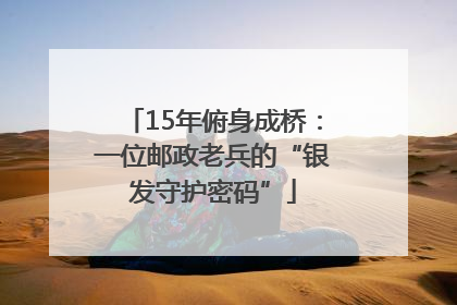 15年俯身成桥：一位邮政老兵的“银发守护密码”