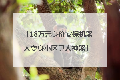 18万元身价安保机器人变身小区寻人神器
