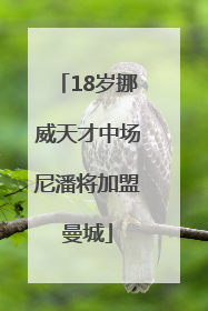 18岁挪威天才中场尼潘将加盟曼城