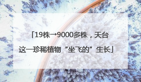 19株→9000多株，天台这一珍稀植物“坐飞的”生长