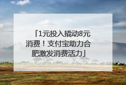 1元投入撬动8元消费！支付宝助力合肥激发消费活力