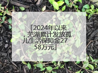 2024年以来，芜湖累计发放孤儿生活保障金2758万元