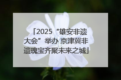 2025“雄安非遗大会”举办 京津冀非遗瑰宝齐聚未来之城