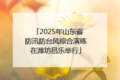 2025年山东省防汛防台风综合演练在潍坊昌乐举行