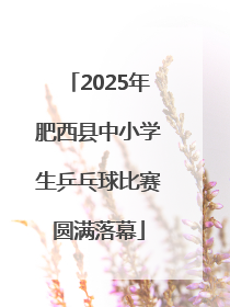 2025年肥西县中小学生乒乓球比赛圆满落幕