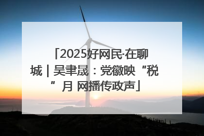 2025好网民·在聊城｜吴聿晟：党徽映“税”月 网播传政声
