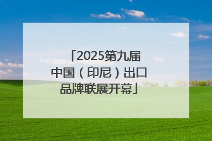 2025第九届中国（印尼）出口品牌联展开幕