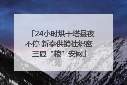 24小时烘干塔昼夜不停 新泰供销社织密三夏“粮”安网