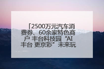 2500万元汽车消费券、60余家特色商户 丰台科技园“AI丰台 更京彩”未来玩家市集活动正式开幕