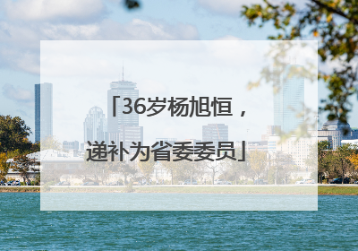 36岁杨旭恒，递补为省委委员
