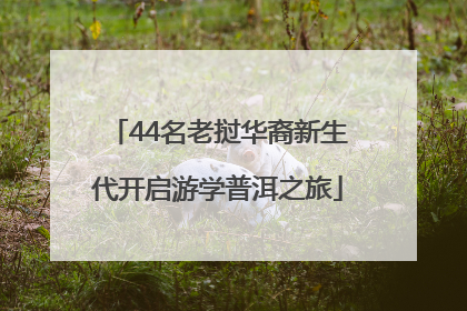 44名老挝华裔新生代开启游学普洱之旅