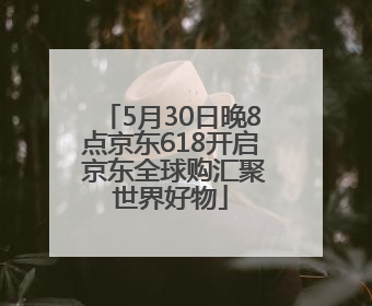5月30日晚8点京东618开启 京东全球购汇聚世界好物