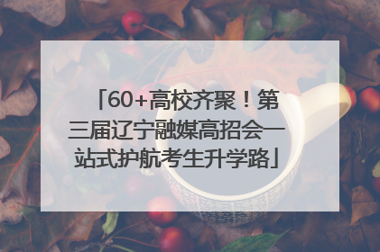 60+高校齐聚！第三届辽宁融媒高招会一站式护航考生升学路