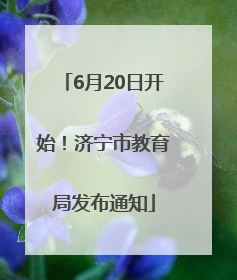 6月20日开始！济宁市教育局发布通知