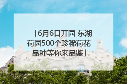 6月6日开园 东湖荷园500个珍稀荷花品种等你来品鉴