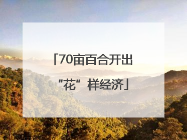 70亩百合开出“花”样经济