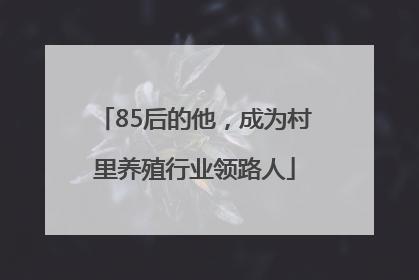85后的他，成为村里养殖行业领路人
