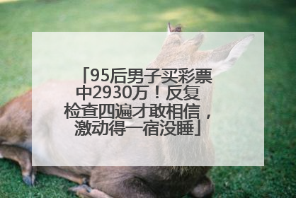 95后男子买彩票中2930万！反复检查四遍才敢相信，激动得一宿没睡