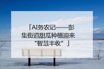 AI务农记——彭集街道甜瓜种植迎来“智慧丰收”