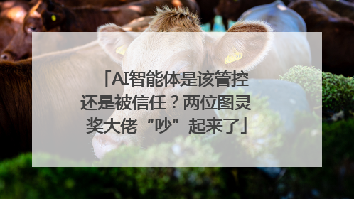 AI智能体是该管控还是被信任？两位图灵奖大佬“吵”起来了