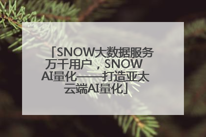 SNOW大数据服务万千用户，SNOW AI量化——打造亚太云端AI量化